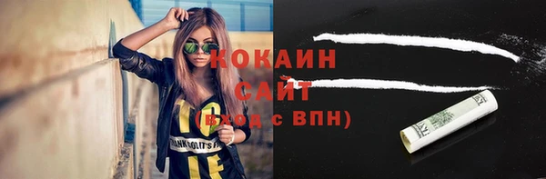 шишки Богородицк