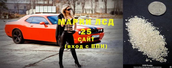 spice Богородск