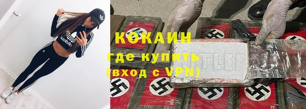 spice Богородск