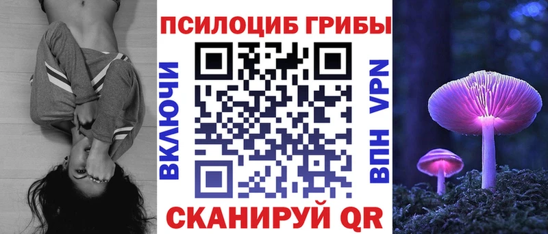 мега ссылка Менделеевск Галлюциногенные грибы прущие грибы